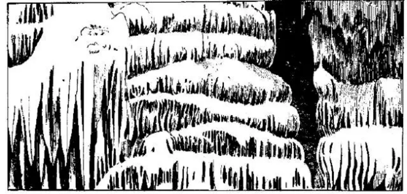 盤點各類地質(zhì)地貌類型-地熱資源開發(fā)-地大熱能